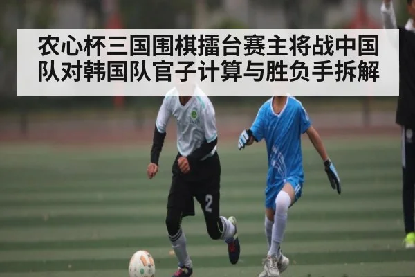 农心杯三国围棋擂台赛主将战中国队对韩国队官子计算与胜负手拆解